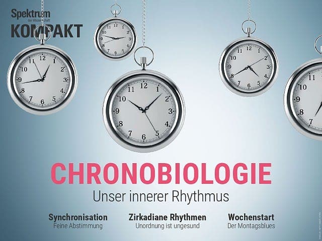 Spektrum Kompakt:  Chronobiologie – Unser innerer Rhythmus