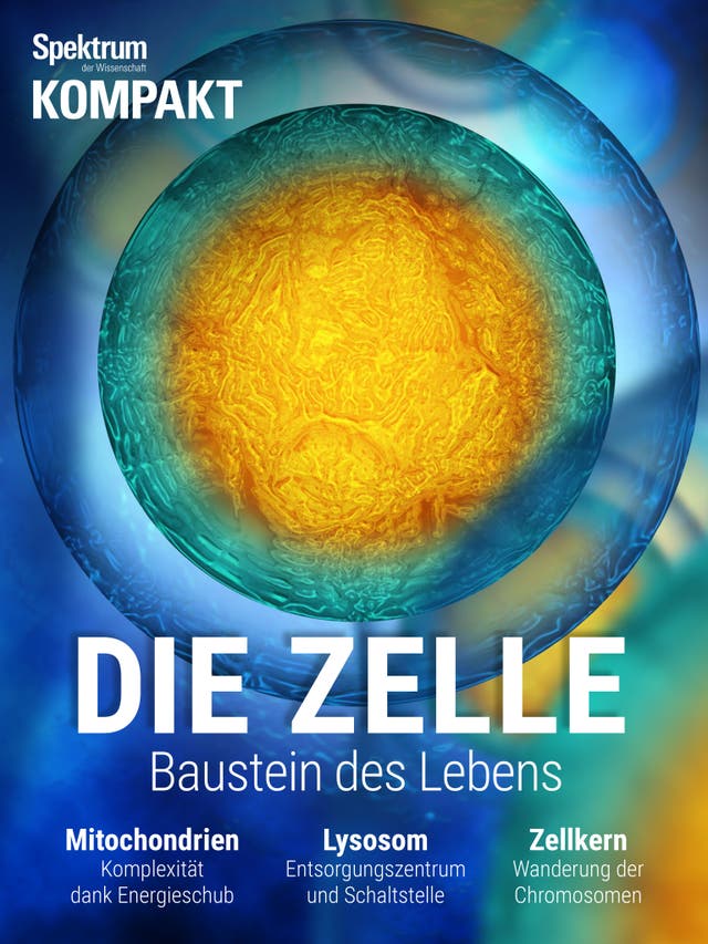 Spektrum Kompakt - 13/2018 - Die Zelle - Baustein des Lebens