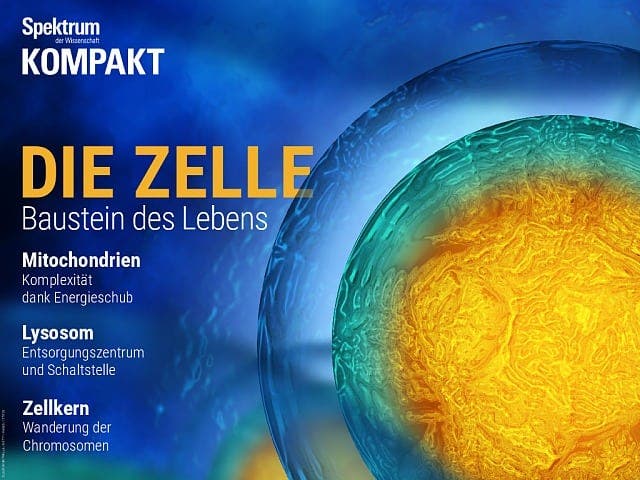 Spektrum Kompakt - 13/2018 - Die Zelle - Baustein des Lebens