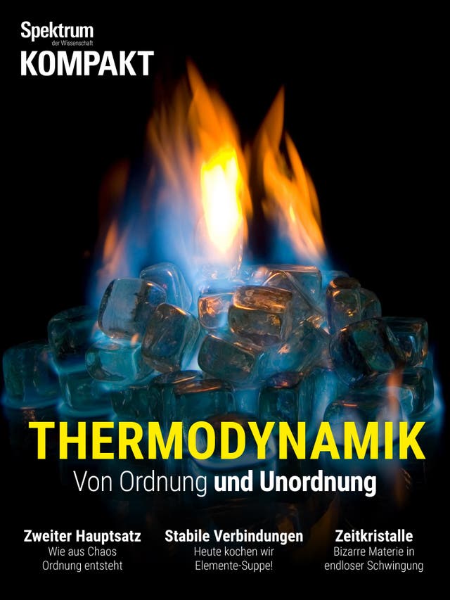 Spektrum Kompakt - 14/2018 - Thermodynamik - Von Ordnung und Unordnung 