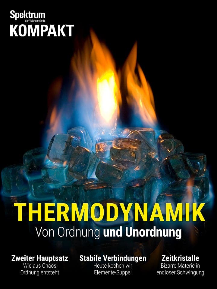 Spektrum Kompakt:  Thermodynamik – Von Ordnung und Unordnung 