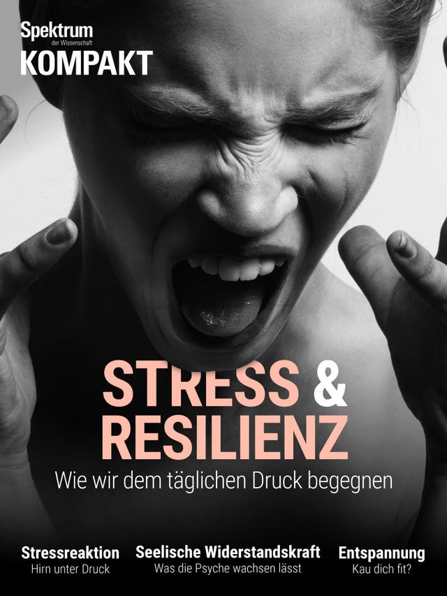 Stress und Resilienz - Wie wir dem täglichen Druck begegnen