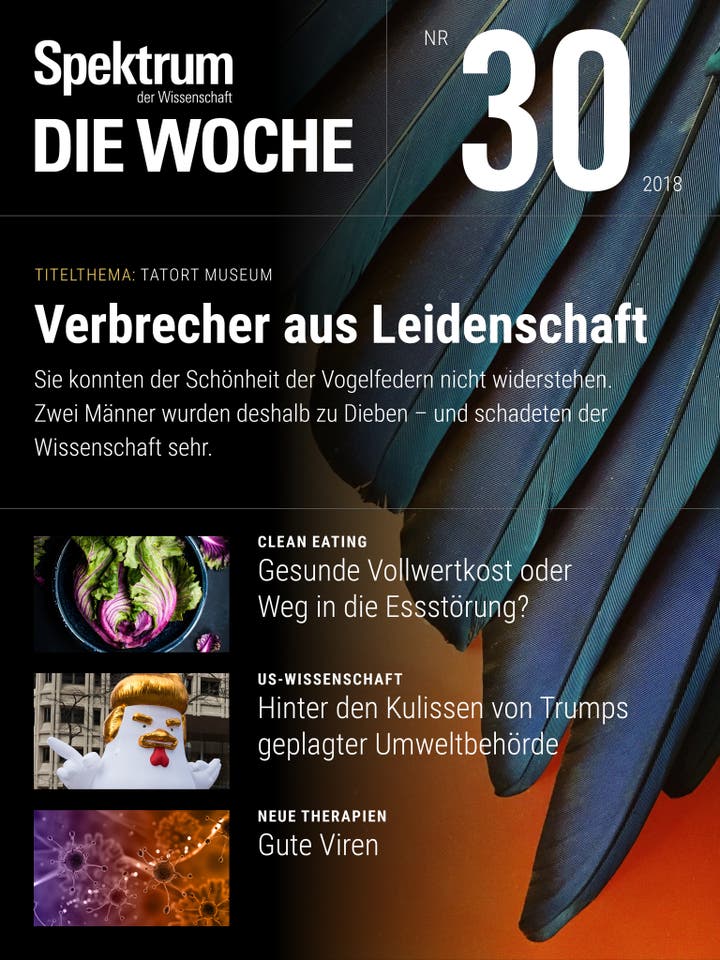 Spektrum - Die Woche - 02018 - 30/2018