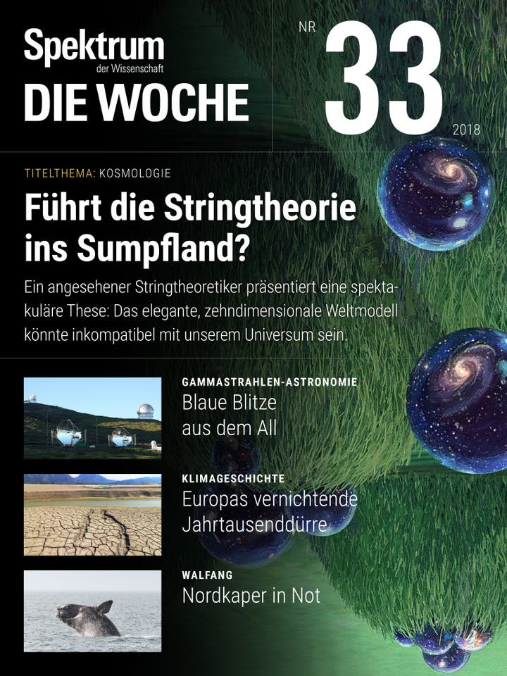 Spektrum – Die Woche – 33/2018 – Führt die Stringtheorie ins Sumpfland?