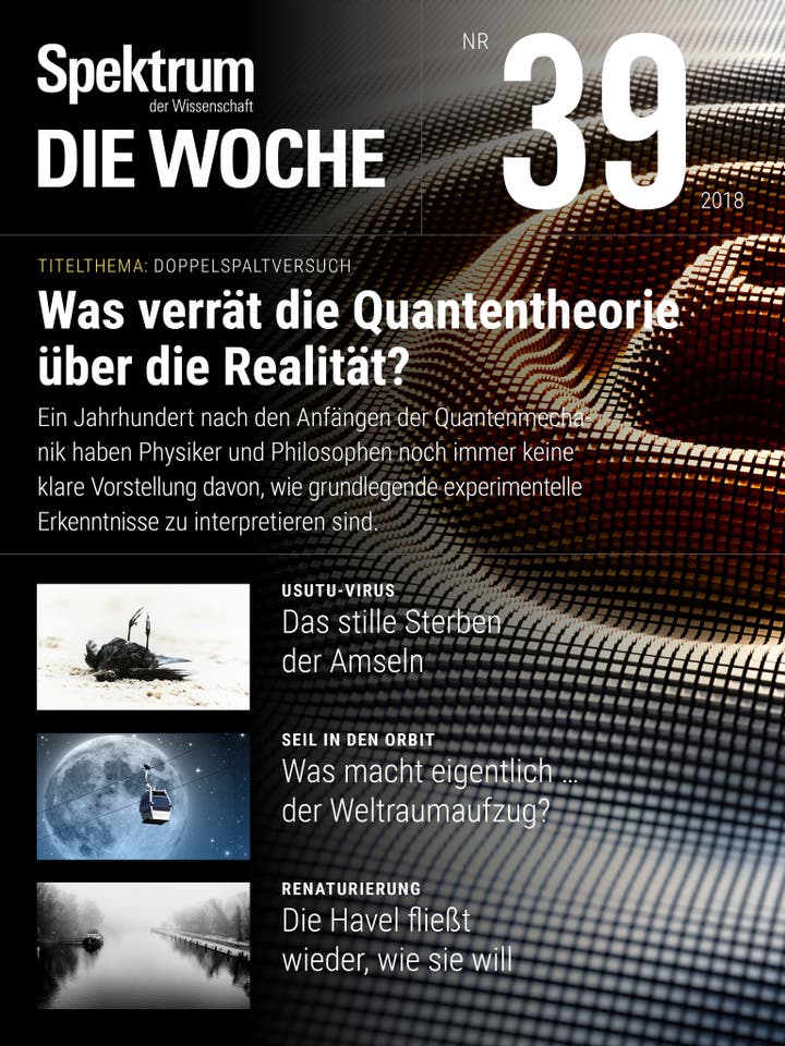 Spektrum – Die Woche – 39/2018 – Was verrät die Quantentheorie über die Realität?