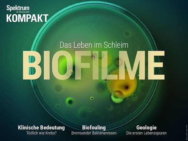 Spektrum Kompakt:  Biofilme – Das Leben im Schleim