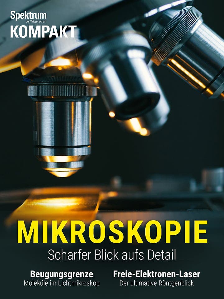 Spektrum Kompakt:  Mikroskopie – Scharfer Blick aufs Detail