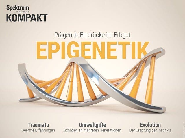  Epigenetik – Prägende Eindrücke im Erbgut