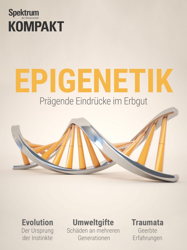 Spektrum Kompakt – 24/2018 – Epigenetik – Prägende Eindrücke im Erbgut