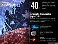 Spektrum - Die Woche - 40/2018 - Entfesselte Immunzellen gegen Krebs