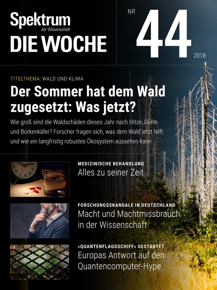 Spektrum – Die Woche – 44/2018 – Der Sommer hat dem Wald zugesetzt: Was jetzt?
