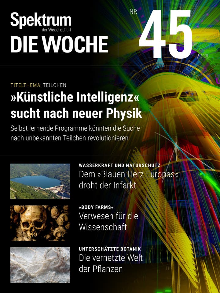 Spektrum – Die Woche – 45/2018 – Künstliche Intelligenz sucht nach neuer Physik