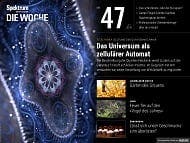 Spektrum - Die Woche - 47/2018 - Das Universum als zellulärer Automat