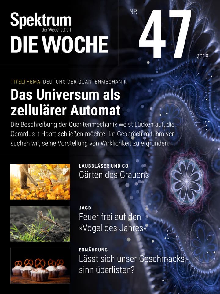 Spektrum - Die Woche - 47/2018 - Das Universum als zellulärer Automat