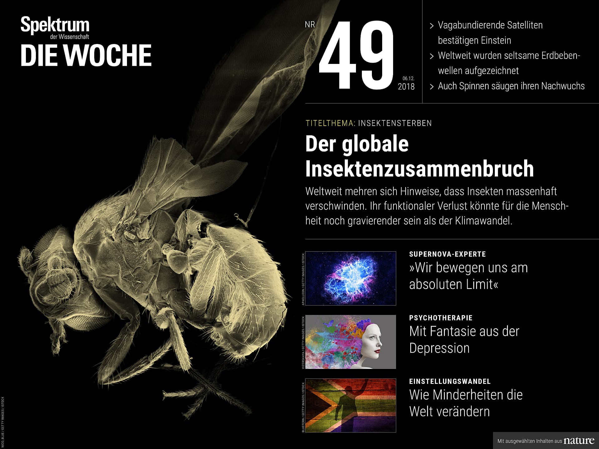 Der globale Insektenzusammenbruch