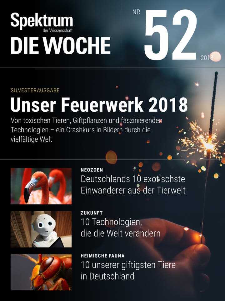 Spektrum – Die Woche – 52/2018 – Unser Feuerwerk 2018