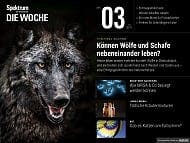 Spektrum - Die Woche - 3/2019 - Können Wölfe und Schafe nebeneinander leben?