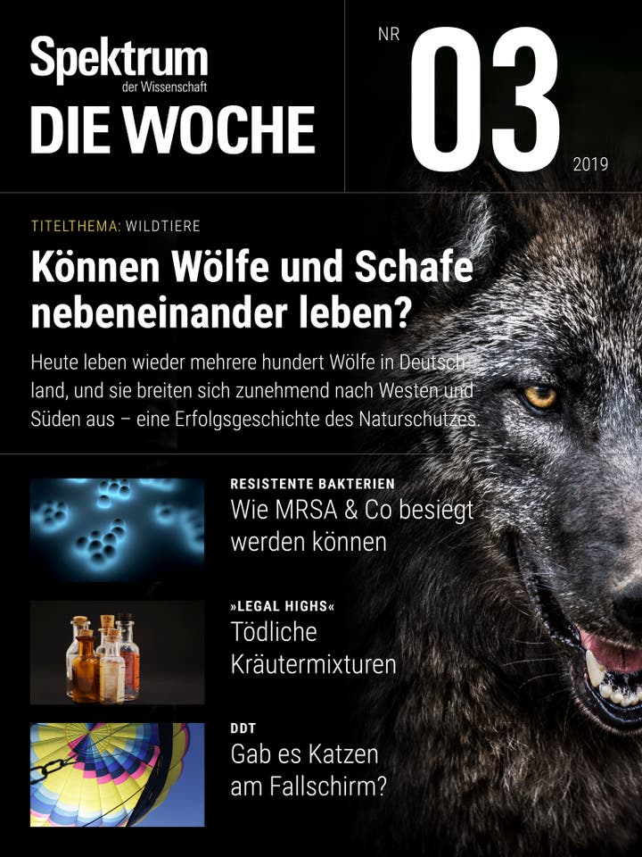 Spektrum - Die Woche - 3/2019 - Können Wölfe und Schafe nebeneinander leben?