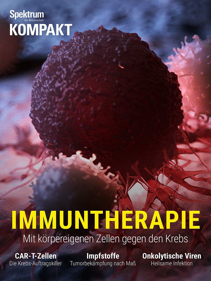 Spektrum Kompakt:  Immuntherapie – Mit körpereigenen Zellen gegen den Krebs