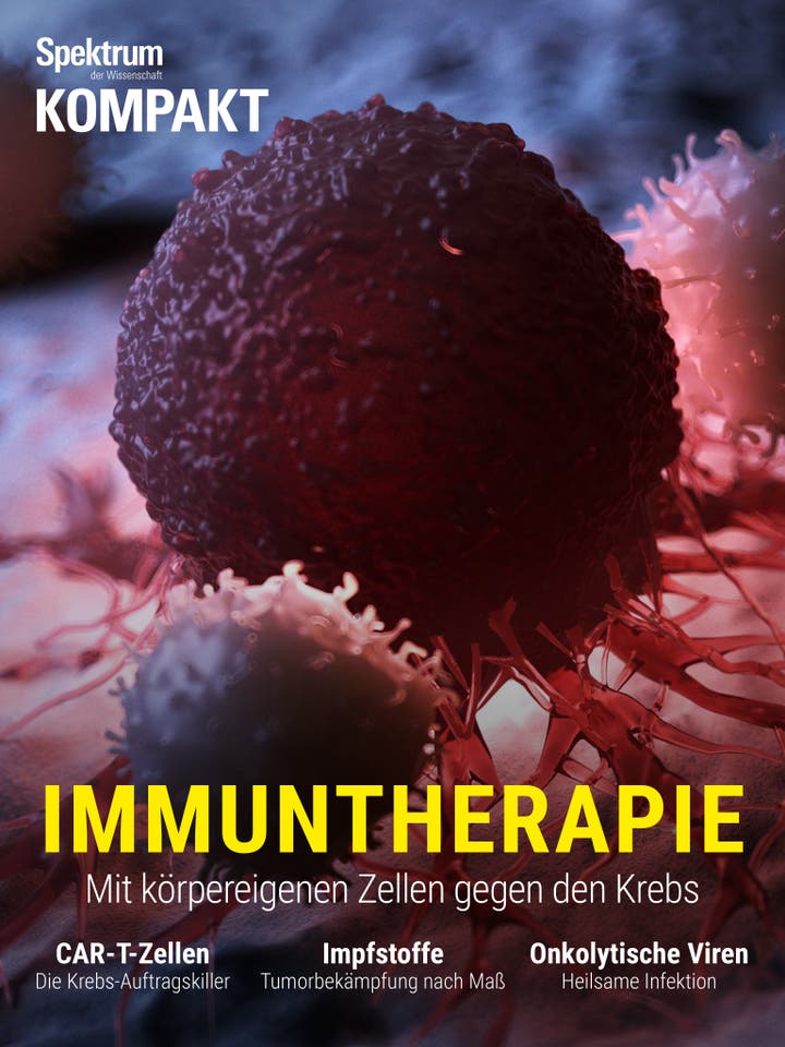 Spektrum Kompakt - 49/2018 - Immuntherapie - Mit körpereigenen Zellen gegen den Krebs