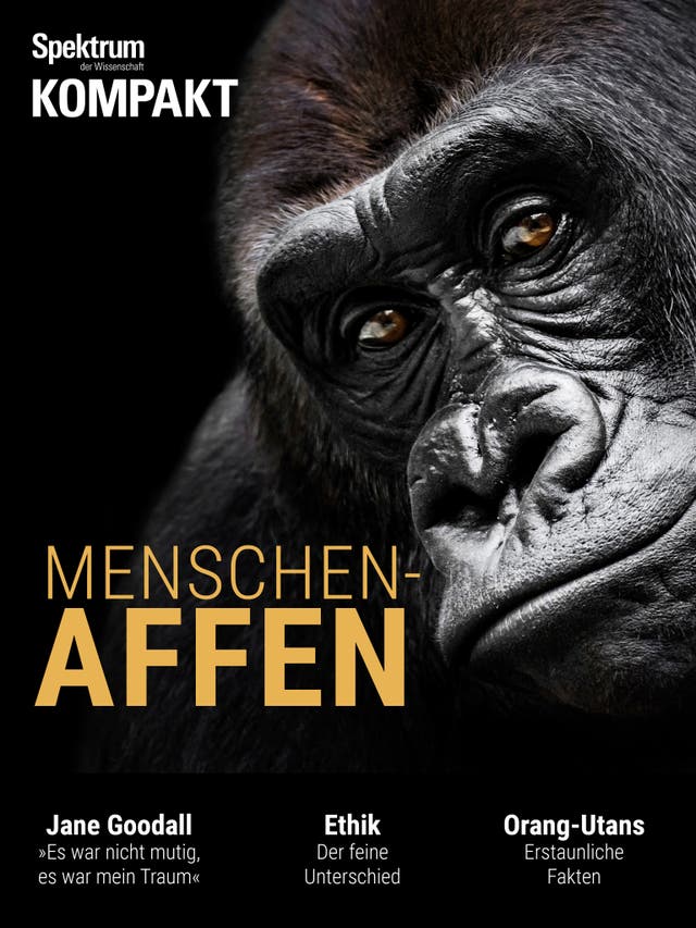 Spektrum Kompakt - 45/2018 - Menschenaffen - Unsere nächsten Verwandten