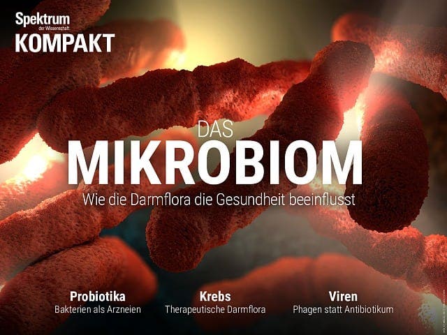  Das Mikrobiom – Wie die Darmflora die Gesundheit beeinflusst