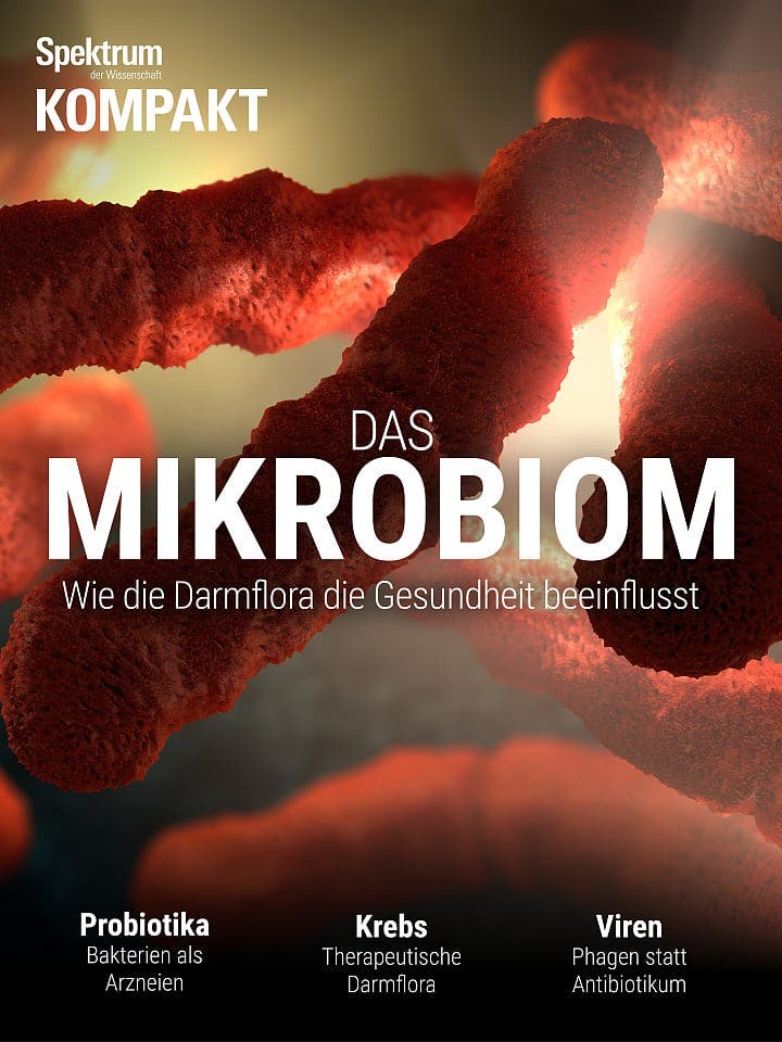 Spektrum Kompakt:  Das Mikrobiom – Wie die Darmflora die Gesundheit beeinflusst