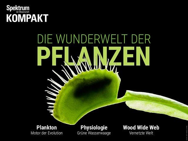 Spektrum Kompakt - 13/2019 - Die Wunderwelt der Pflanzen