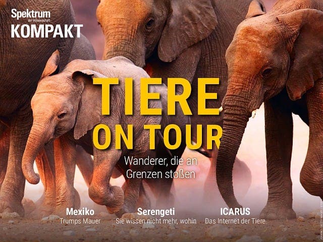 Spektrum Kompakt:  Tiere on Tour – Wanderer, die an Grenzen stoßen