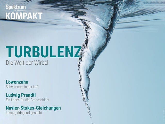 Spektrum Kompakt - 22/2019 - Turbulenz - Die Welt der Wirbel