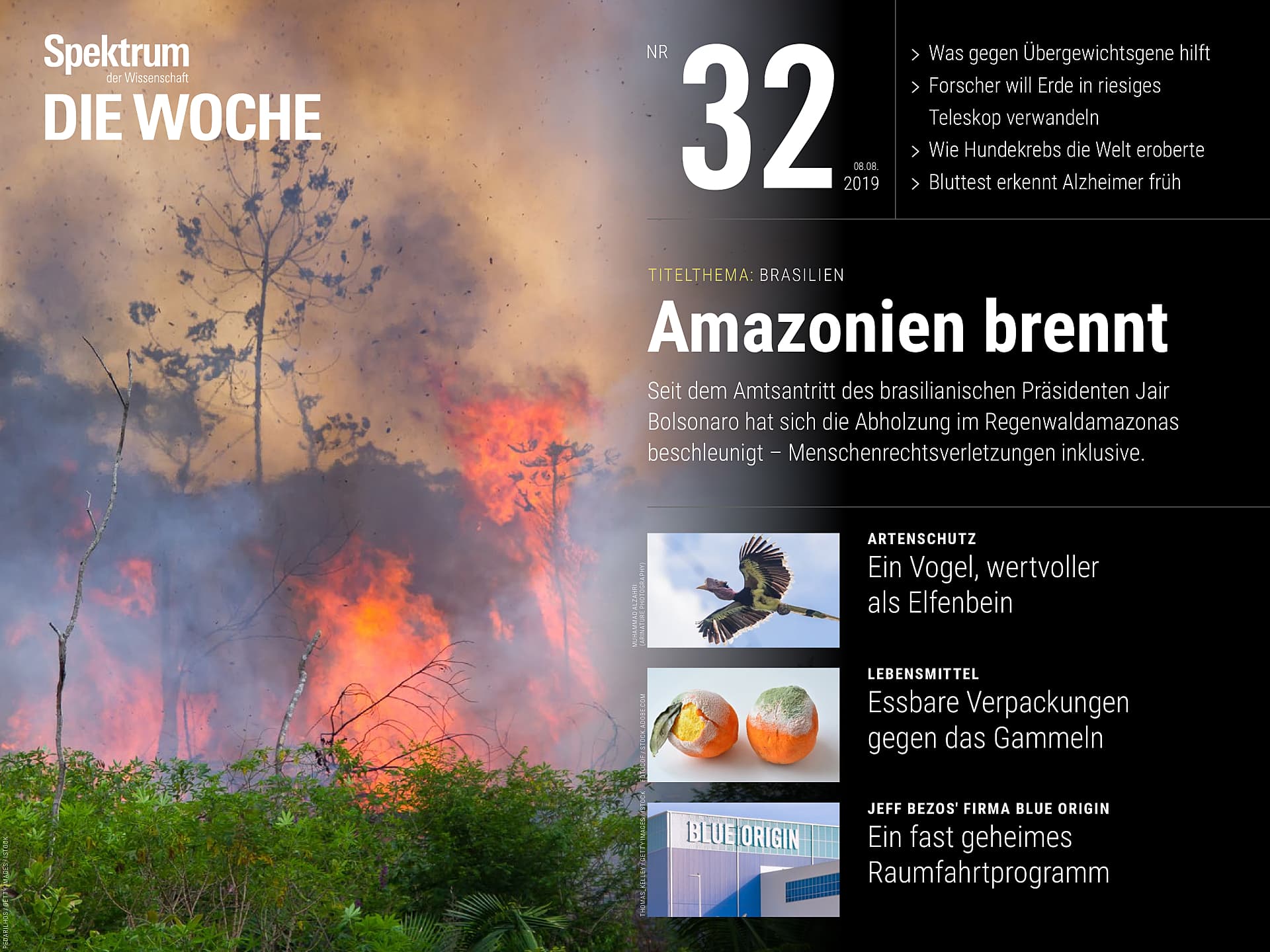 Amazonien brennt