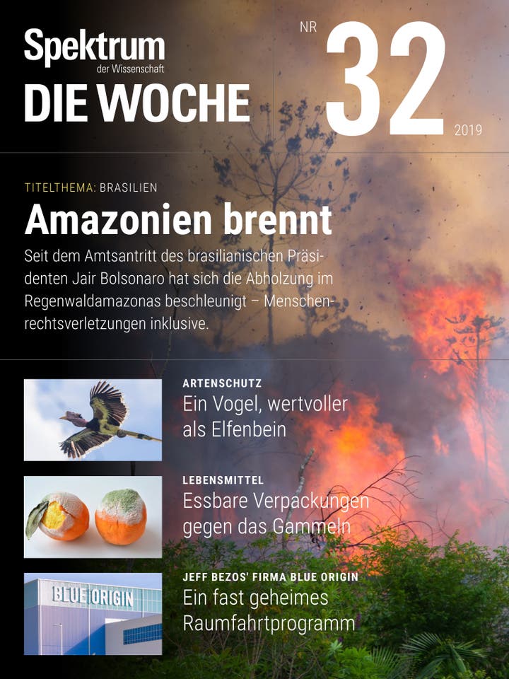 Spektrum – Die Woche – 32/2019 – Amazonien brennt