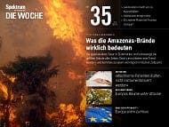 Was die Amazonas-Brände wirklich bedeuten