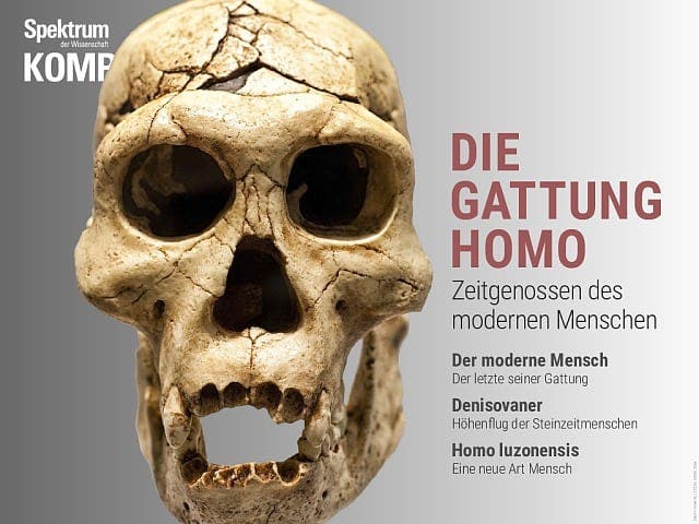 Spektrum Kompakt:  Die Gattung Homo – Zeitgenossen des modernen Menschen