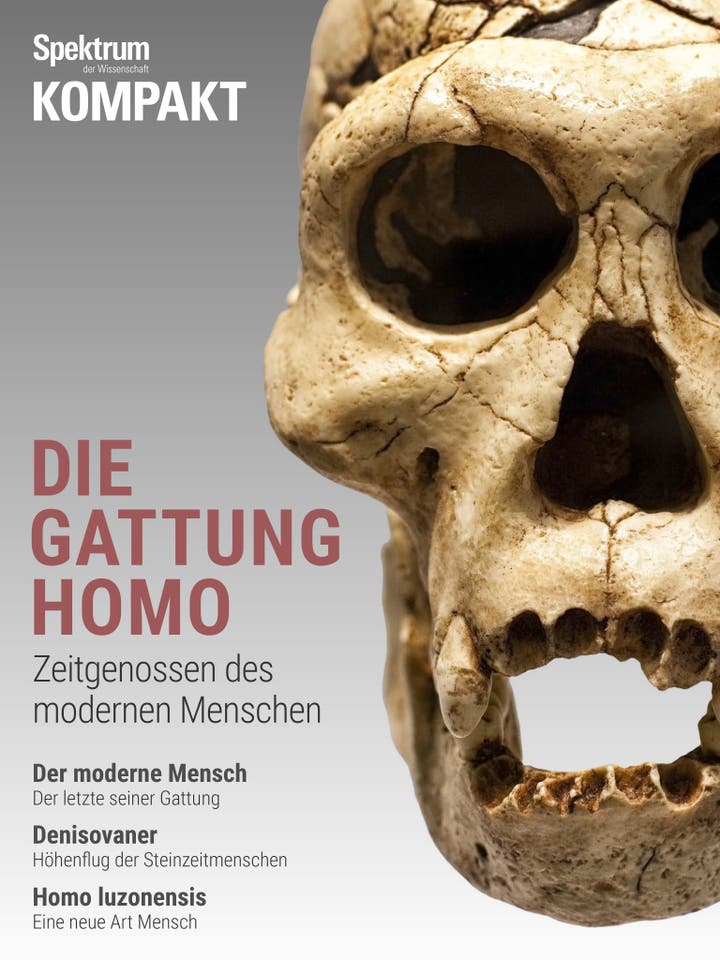 Spektrum Kompakt - 24/2019 - Die Gattung Homo - Zeitgenossen des modernen Menschen