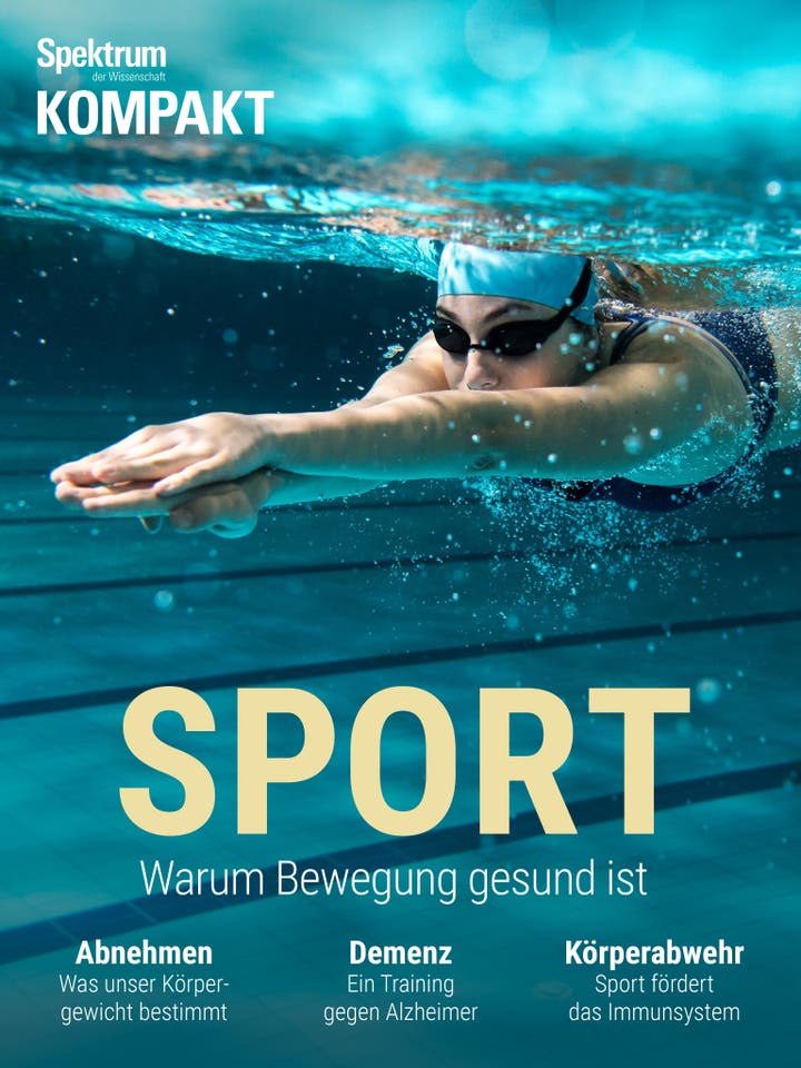 Spektrum Kompakt - 27/2019 - Sport - Warum Bewegung gesund ist