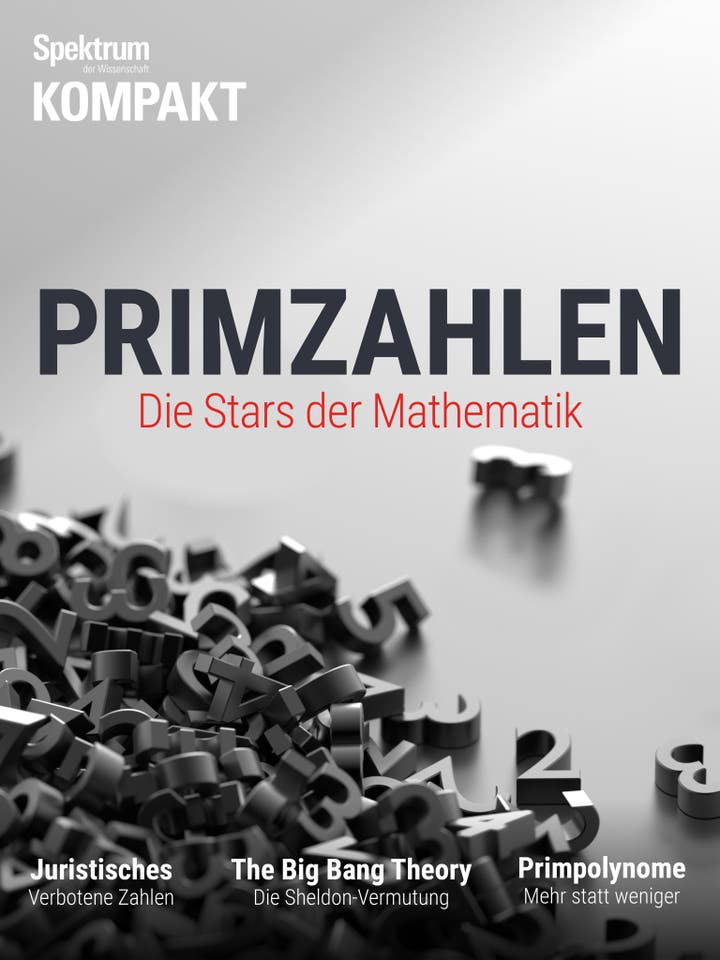 Spektrum Kompakt – 30/2019 – Primzahlen – Die Stars der Mathematik