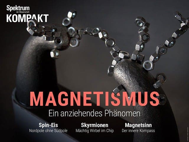 Spektrum Kompakt:  Magnetismus – Ein anziehendes Phänomen