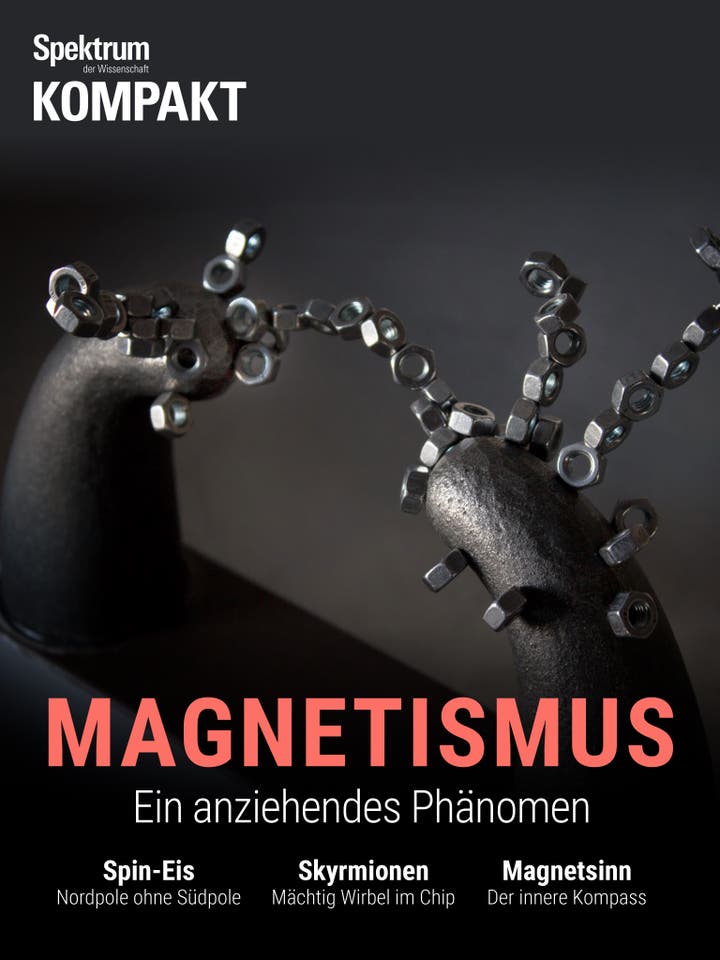 Spektrum Kompakt - 31/2019 - Magnetismus - Ein anziehendes Phänomen