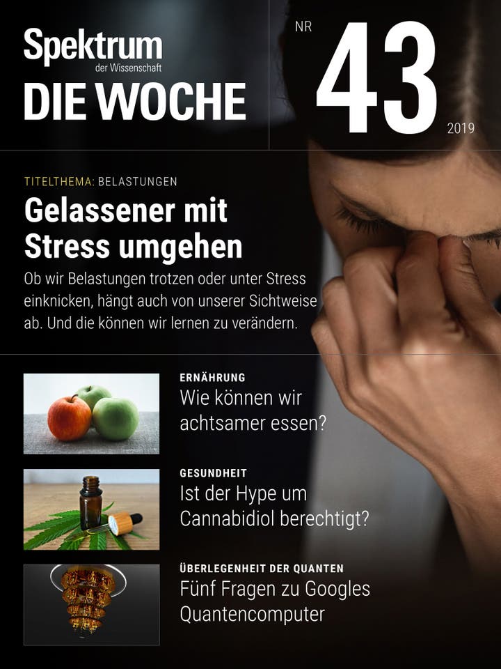 Spektrum - Die Woche - 43/2019 - Gelassener mit Stress umgehen