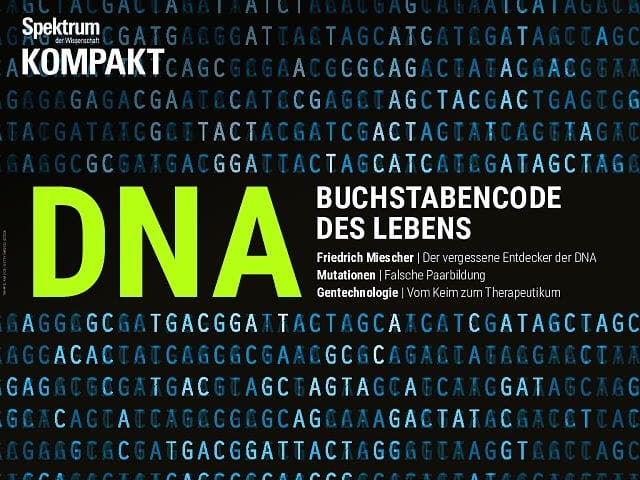  DNA – Buchstabencode des Lebens