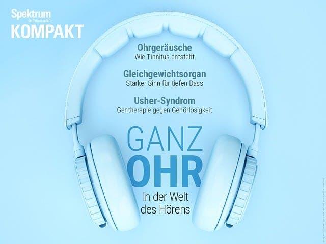 Spektrum Kompakt - 36/2019 - Ganz Ohr - In der Welt des Hörens