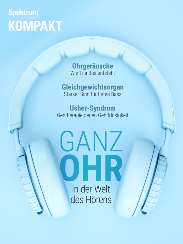 Spektrum Kompakt - 36/2019 - Ganz Ohr - In der Welt des Hörens