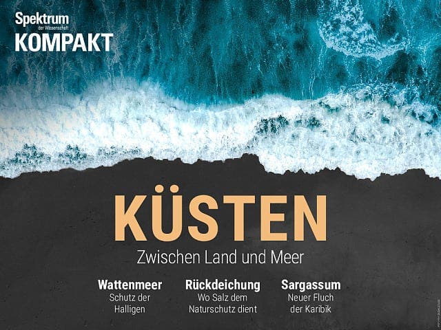 Spektrum Kompakt - 44/2019 - Küsten - Zwischen Land und Meer