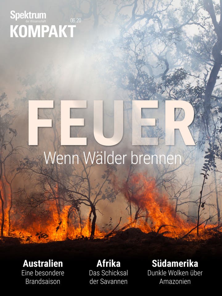 Feuer - Wenn Wälder brennen