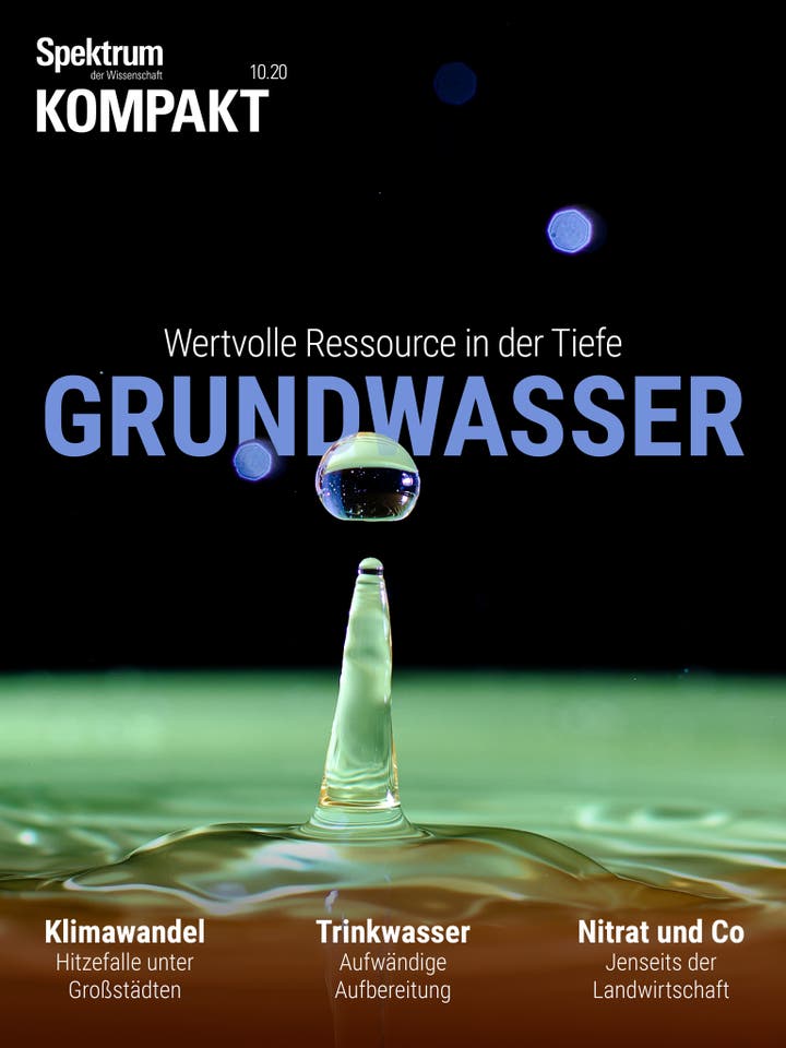 Spektrum Kompakt - 10/2020 - Grundwasser - Wertvolle Ressource in der Tiefe