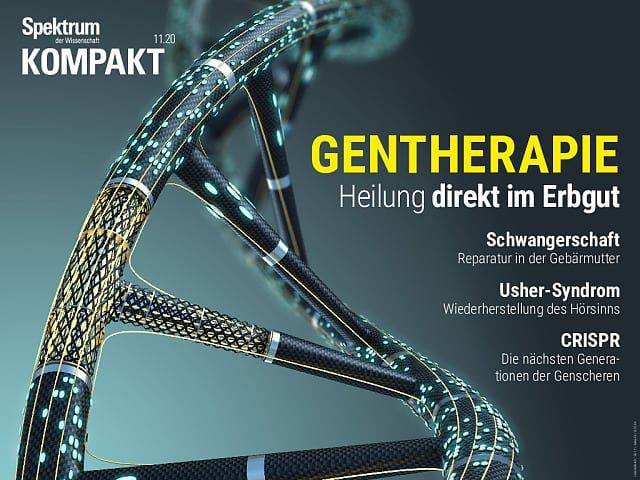 Spektrum Kompakt - 11/2020 - Gentherapie - Heilung direkt im Erbgut