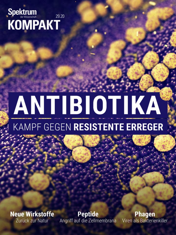 Spektrum Kompakt - 29/2020 - Antibiotika - Kampf gegen resistente Erreger