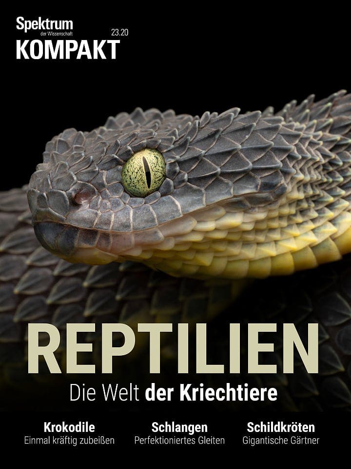 Spektrum Kompakt:  Reptilien – Die Welt der Kriechtiere