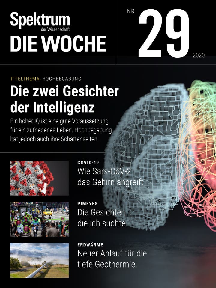 Spektrum - Die Woche - 29/2020 - Die zwei Gesichter der Intelligenz